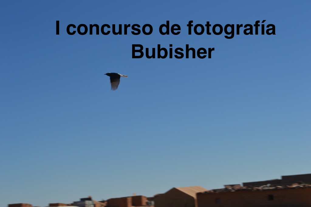 I CONCURSO DE FOTOGRAFÍA BUBISHER