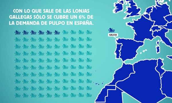 Campaña «Los tentáculos del Pulpo» – CEAS-Sahara