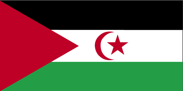 El Estado Saharaui celebra 43 años de resistencia,dignidad y lucha pacífica – CEAS-Sahara
