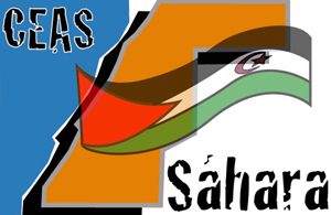 47 años de resistencia y unidad del Pueblo Saharaui – CEAS-Sahara
