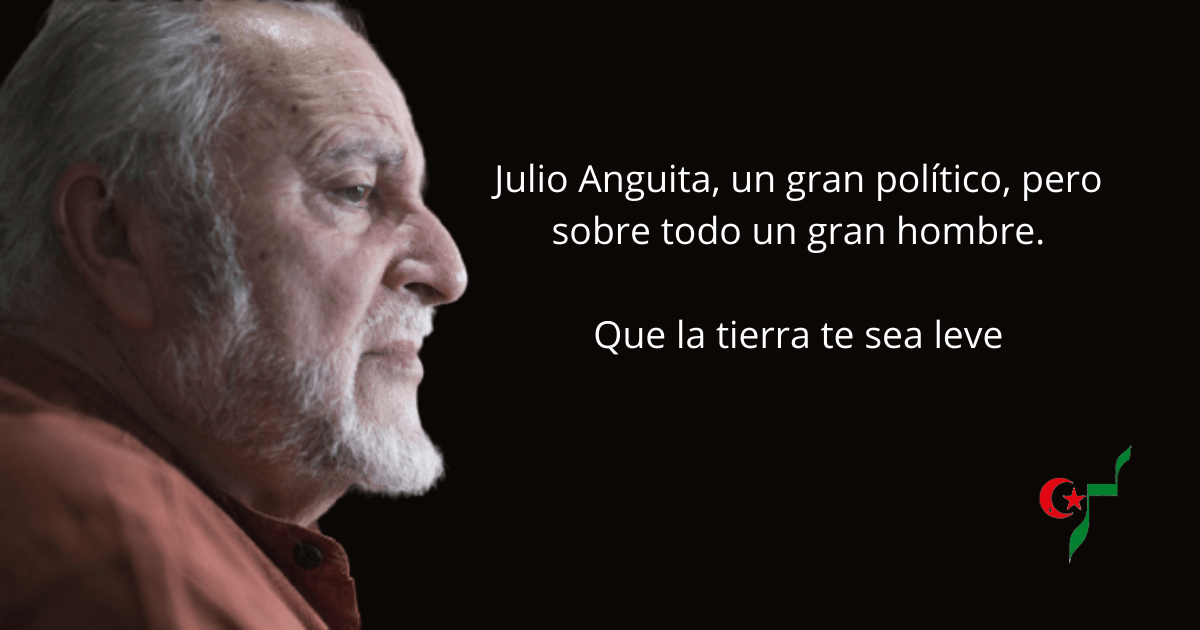Julio Anguita, un gran político, pero sobre todo un gran hombre – CEAS-Sahara