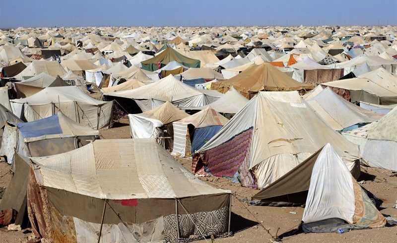 La Generalitat seguirá mediando ante el Frente Polisario para liberar a las saharauis retenidas en Tinduf