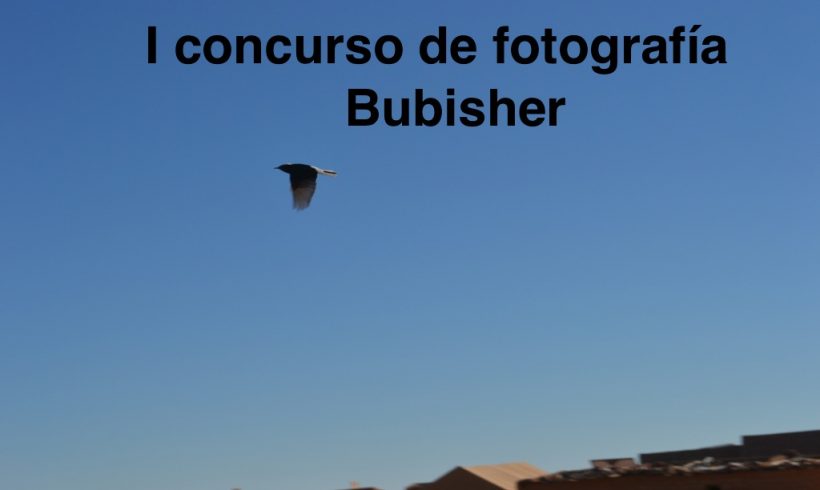 I CONCURSO DE FOTOGRAFÍA BUBISHER